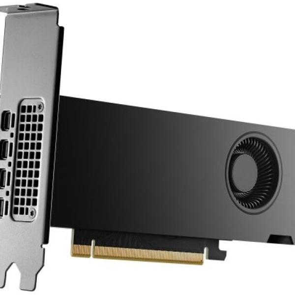 Placa Gráfica Quadro RTX 2000 ADA 16GB GDDR6 - PNY