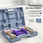 Conjunto de Halteres de 6 Peças 2 x 1 kg 2 x 2 kg 2 x 3 kg Halteres Hexagonais com Revestimento de Plástico Antiderrapante Multicolor