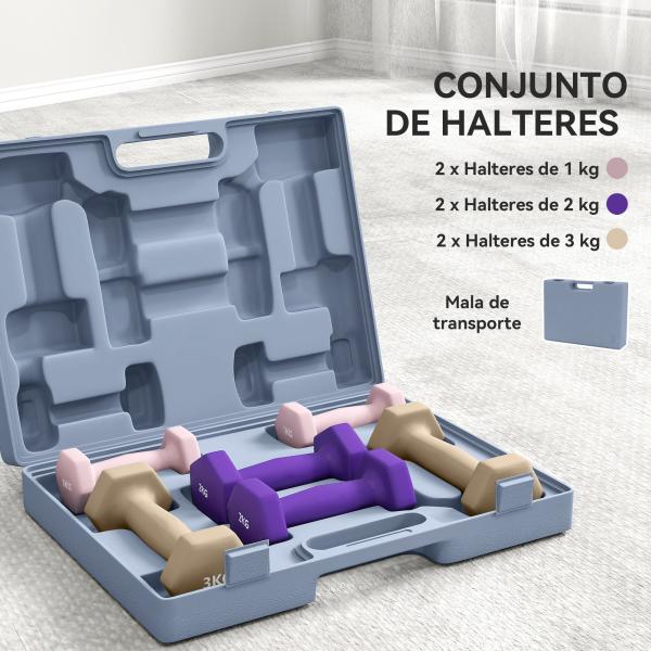 Conjunto de Halteres de 6 Peças 2 x 1 kg 2 x 2 kg 2 x 3 kg Halteres Hexagonais com Revestimento de Plástico Antiderrapante Multicolor