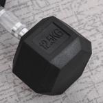 Haltere Hexagonal 12,5 kg em Ferro Fundido Pesos de Aço Revestidos a Borracha com Pega Texturizada para Musculação Preto