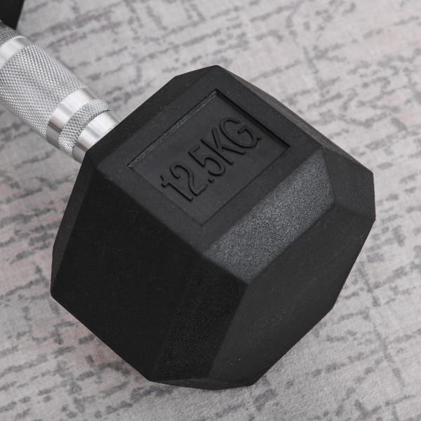 Haltere Hexagonal 12,5 kg em Ferro Fundido Pesos de Aço Revestidos a Borracha com Pega Texturizada para Musculação Preto