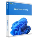 Microsoft WINDOWS 11 PRO 64Bits DSP
