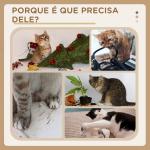 Arranhador para Gatos Pequenos Altura 42 cm Arranhador para Gatos com Cama Bolas Supensas e Postes de Juta 48x38x42 cm Cinza