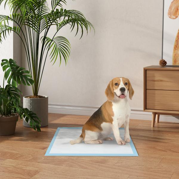Resguardos de Treino Animais de Estimação 80 Unidades 45x60 cm Resguardos Absorventes para Cães com 6 Camadas Azul