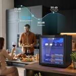 Vinoteca 12 Garrafas, Frigorífico para Vinhos 36 L com Temperatura Ajustável 4 - 16 ℃ Porta de Vidro Duplo Luz LED, Preto