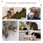 Arranhador para Gatos Médio de 3 Níveis com Postes de Sisal Placa para Arranhar e Bola Suspensa 40x35x72 cm Cinzento Escuro