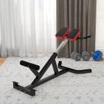 Cadeira Romana para Hiperextensões com Altura e Encosto Reguláveis, 120 kg, para Treino de Abdominais e Costas