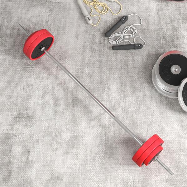 Conjunto de Barra de Pesos 30 kg com Discos Conjunto de Musculação com 6 Discos e 1 Barra para Treino de Força Levantamento de Pesos 170x26x26 cm Vermelho