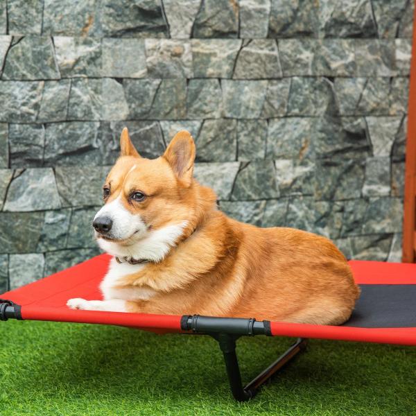 Cama Elevada para Cães Cama de Animais de Estimação com Malha Transpirável e Tecido Oxford para Exterior Interior Ar Livre Jardim Terraço 91,5x76,2x18cm Vermelho