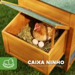 Galinheiro de Madeira para 3 - 6 Galinhas com Teto Asfáltico Porta com Trava Bandeja Amovível e Rampa 297,5x68x118cm Madeira