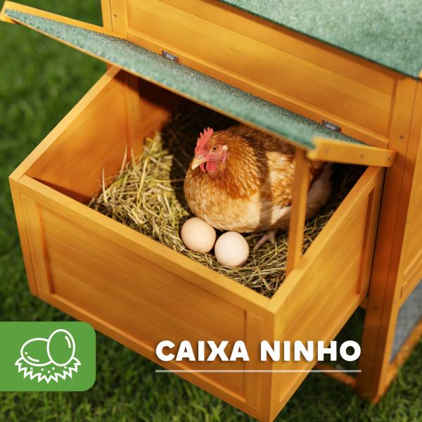 Galinheiro de Madeira para 3 - 6 Galinhas com Teto Asfáltico Porta com Trava Bandeja Amovível e Rampa 297,5x68x118cm Madeira