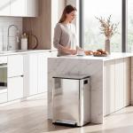 Balde de Lixo de Cozinha com 2 Compartimentos 2x30L Pedal Fechamento Suave e Cubo Amovível Prata