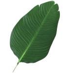 Planta Artificial de Decoração Planta Palmeira Artificial com Vaso 7 Folhas para Exterior e Interior Ø15x120cm Verde