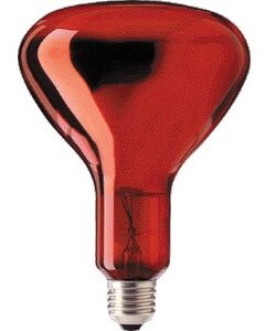 Lampada Infra. Aquecimento E27 R115 250W - GSC