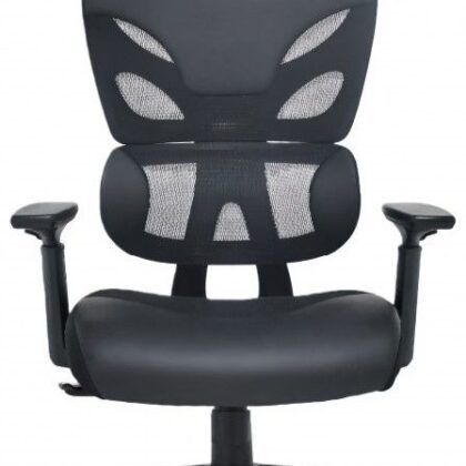 Cadeira Ergonómica Regent (Preto) - LOVIT