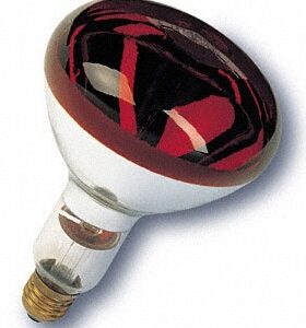 Lampada Infra. Aquecimento R125 250W - PHILIPS