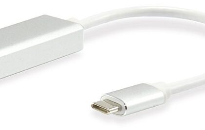 Conversor USB-C Macho para DisplayPort Fêmea (15cm) - EQUIP
