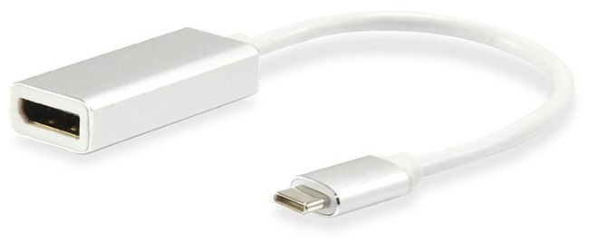 Conversor USB-C Macho para DisplayPort Fêmea (15cm) - EQUIP