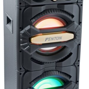 Consola de Som Port?til DJ 800W c/ USB/SD/BLUETOOTH e Efeitos LED (LIVE2101) - FENTON