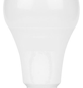 Lampada LED E27 A67 220V 20W Branco F. 6500K 2100Lm