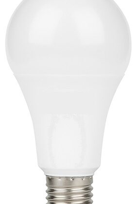 Lampada LED E27 A67 220V 20W Branco F. 6500K 2100Lm