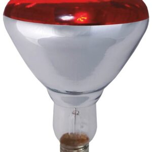 Lampada Infra. Aquecimento E27 R125 250W - GSC
