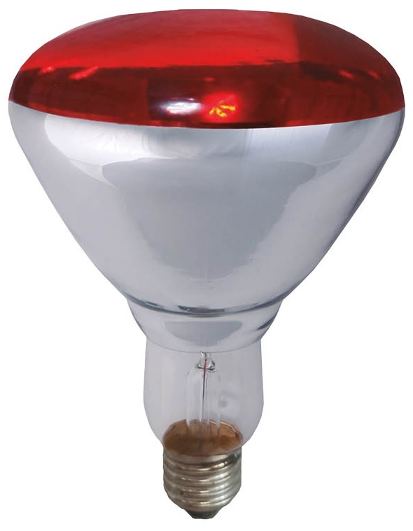 Lampada Infra. Aquecimento E27 R125 250W - GSC