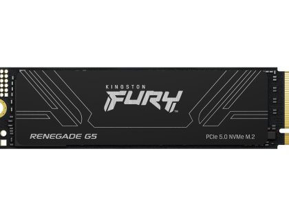 Disco SSD M.2 NVMe Kingston1TB Fury Renegade G5