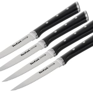 SET TEFAL 4 FACAS CARNE-11C-K232S4PT
