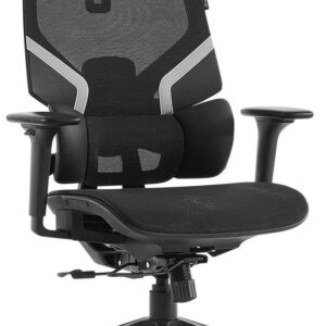 Cadeira de Escritório Ergonómica Aurora (Preto) - ALPHA GAMER