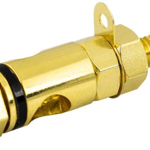 Alvéolo/Terminal Dourado - Anel Preto