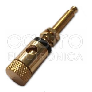 Alvéolo/Terminal Dourado Longo - Anel Preto