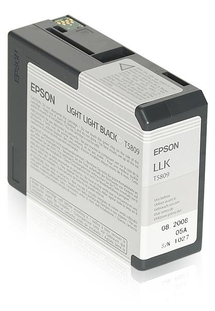 Tinteiro EPSON SP 3800 Cinzento Claro - C13T580900