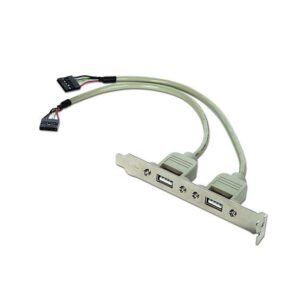 Placa Interna 2x USB2.0 c/ Ligação Motherboard Cabo 10 Pinos (25cm) - GEMBIRD