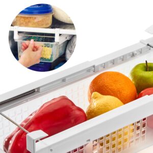 Organizador Gaveta de Alimentos (41 x 16 cm) p/ Frigorifico - FEEL LAGOM
