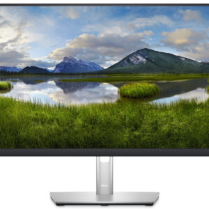 Monitor W-LED 23,8 P2423DE Quad HD LCD IPS (Preto) - DELL