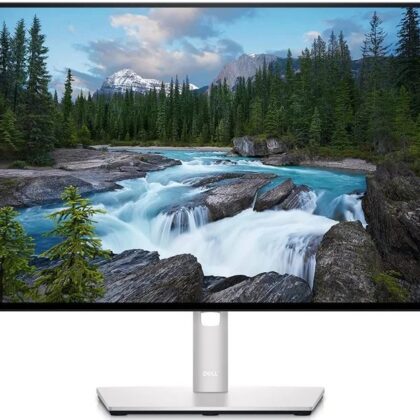 Monitor 24 U2422H LED IPS FullHD - DELL