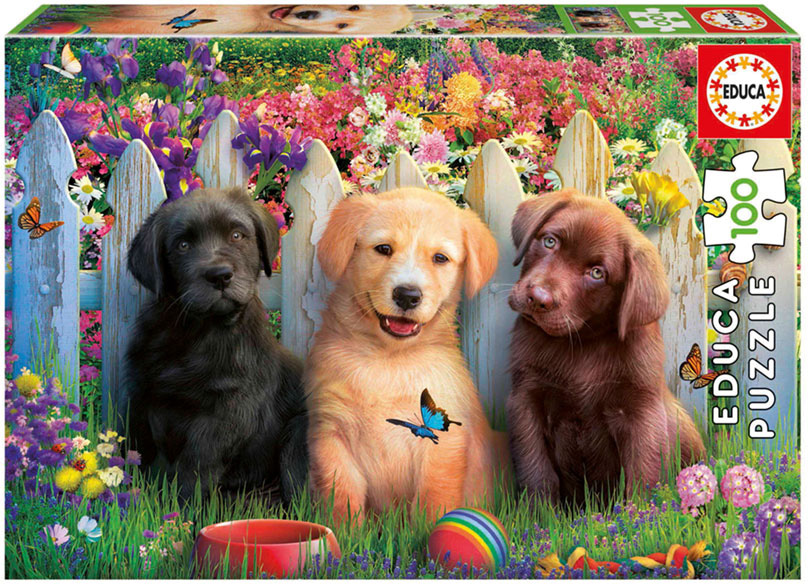 Puzzle Junior 100 Cachorros - EDUCA