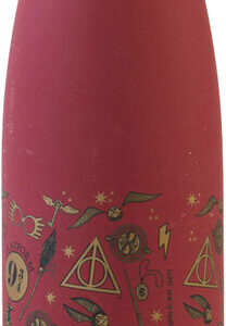Garrafa de Aço Inoxidável Hogwars Harry Potter 500ml - WARNER BROS