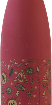 Garrafa de Aço Inoxidável Hogwars Harry Potter 500ml - WARNER BROS