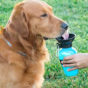 Garrafa Bebedouro de ?gua p/ Animais - INNOVAGOODS