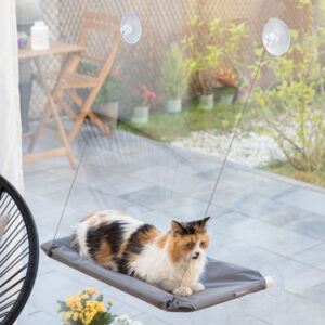 Rede Suspensa para Gatos Catlax - INNOVAGOODS