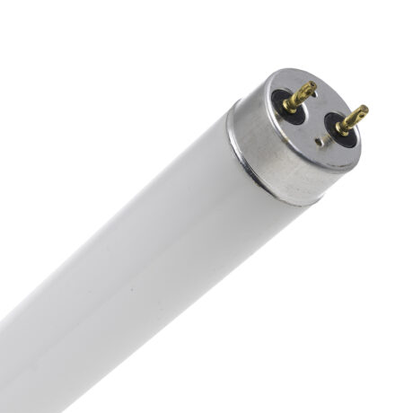 Lampada Fluorescente T8 58W 6400K (1,5 mts)