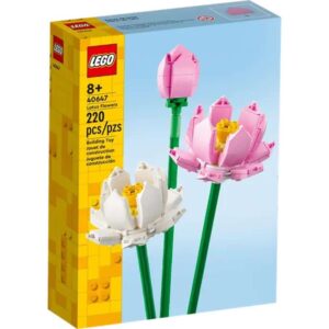 LEGO Iconic Flor-de-Lótus - 40647