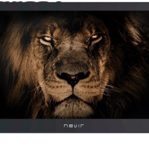 TV LED 16 NVR-7717-16RD2N HD Ready c/ Sintonizador TDT (12/220V) - NEVIR