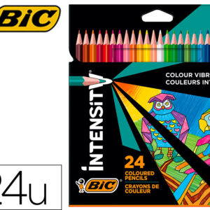 Lapis De Cores Intensity Caixade 24 Unidades Cores Sortidas - BIC