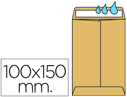 Envelope Bolsa SaláRios 100X145mm Kraft Embalagem de 1000 Unidades