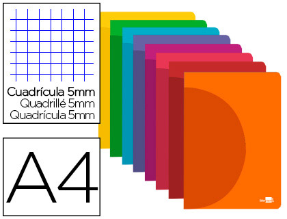 Caderno Escolar Agrafado 360 Capa Plastico A4 48F 90g/m2 c/ Margem Dupla Cores Sortidas