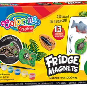Set de ?manes para Frigor?fico