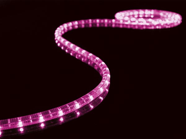 Mangueira Luminosa Rosa (5 mts)